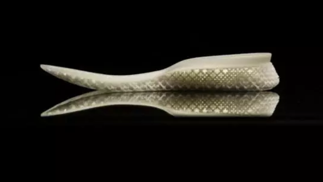 泉州開發(fā)出全國第一雙可以穿的3D打印鞋子 Sirod