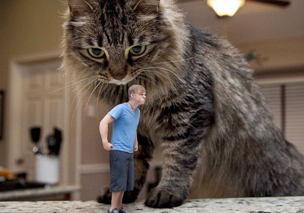 人像個(gè)性化定制