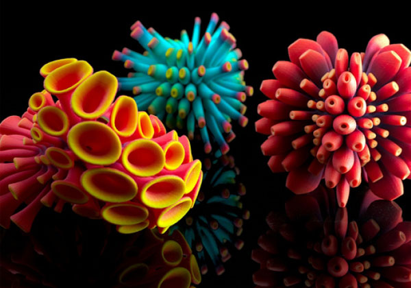 室內(nèi)個(gè)性擺件