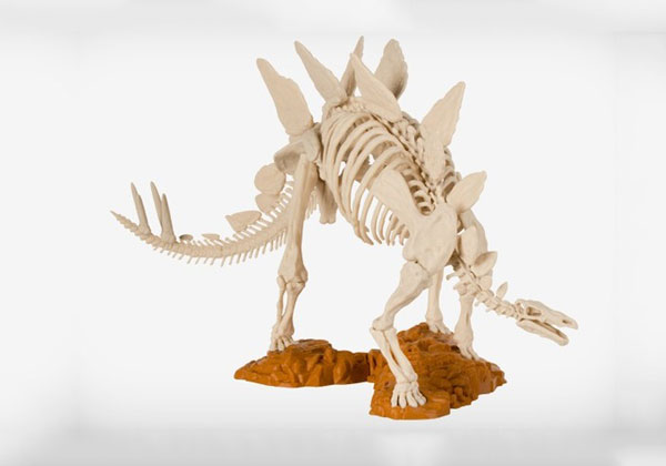 動物骨架高清三維模型